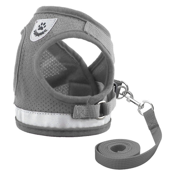 Dog Harness - Small & Medium Dog