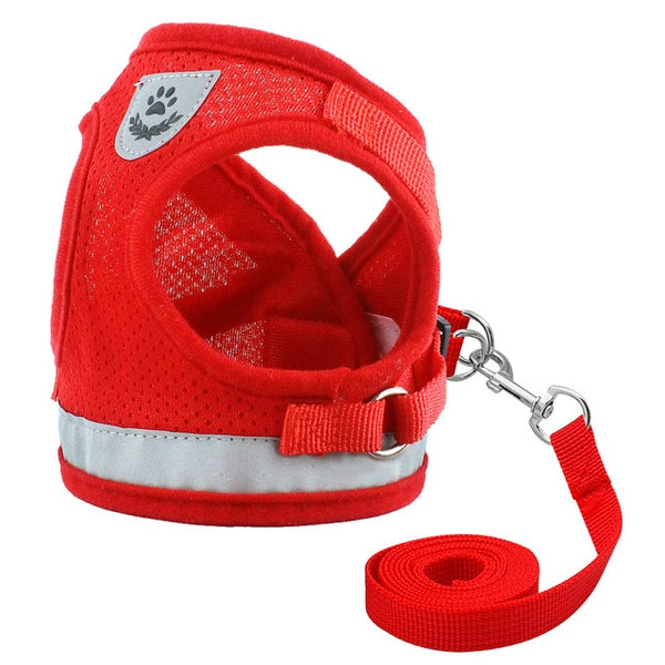 Dog Harness - Small & Medium Dog