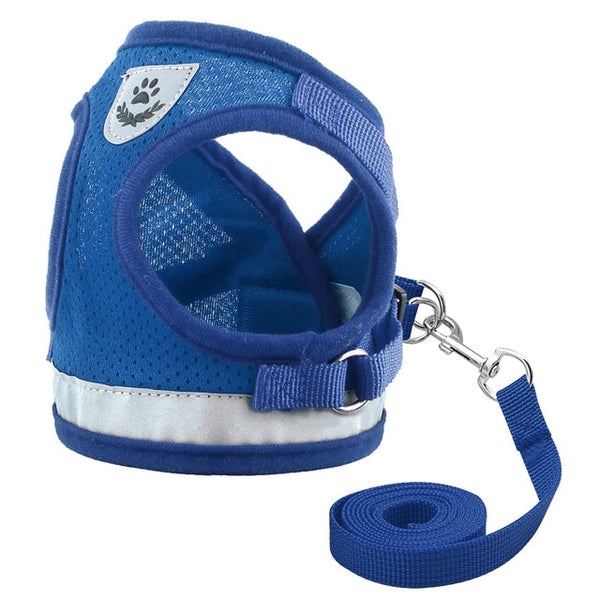 Dog Harness - Small & Medium Dog