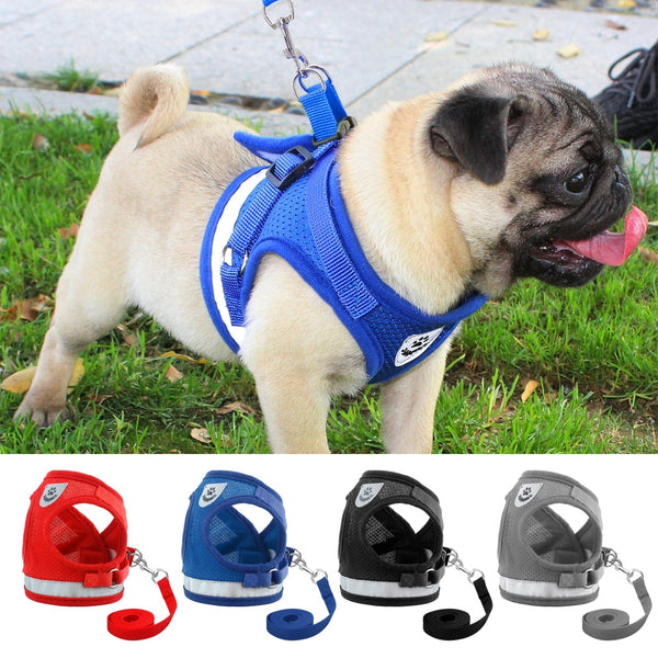 Dog Harness - Small & Medium Dog
